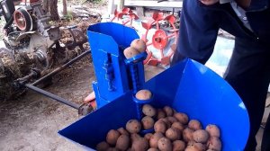 Испытание картофелесажалки цепной, на мотоблок (часть 1)