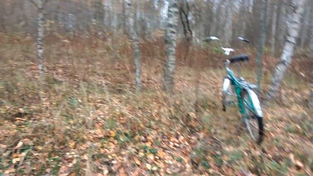 ***ЗА БЕЛЫМИ ГРИБАМИ В ОКТЯБРЕ! ПОДМОСКОВНЫЕ ОСЕННИЕ БОРОВИКИ. МЕЧТА СБЫЛАСЬ! ПРЕМЬЕРА ГОДА!*** смотреть онлайн