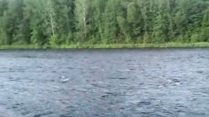Новгородская область. Подземная река Понеретка