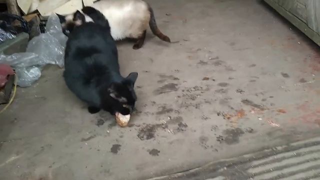 Огонь в печи смотреть онлайн