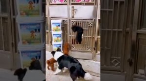 Слаженная работа коллектива