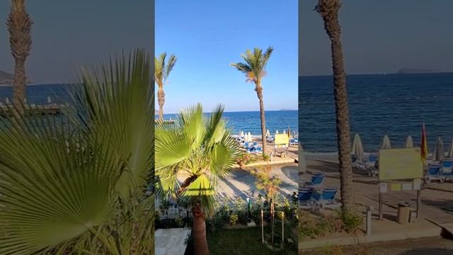 Bodrum, Turgutreis, Sundance 07.2021 2частина смотреть онлайн