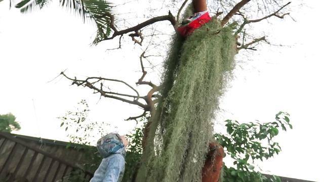 PROCURANDO BRINQUEDOS DE DINOSSAUROS FEROZES (Jurassic Park) смотреть онлайн