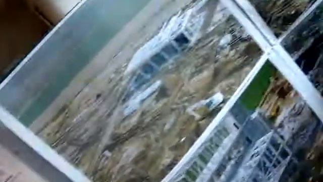 Ca ca ca czyli profesjonalny opis aparatu Sony DSC-W170 смотреть онлайн