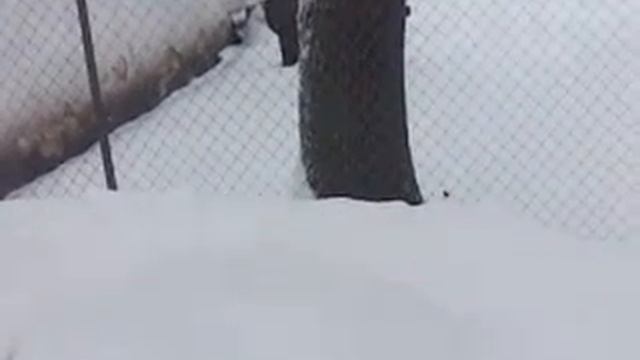 саморобний трактор з саморобним ковшом СНІГ смотреть онлайн