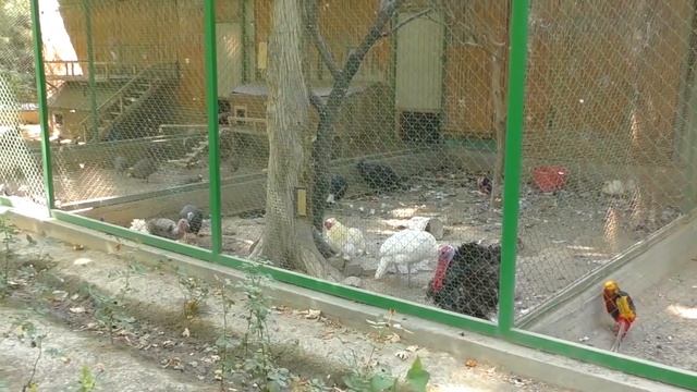 Море Таджикистана/Кайраккумское водохранилище смотреть онлайн