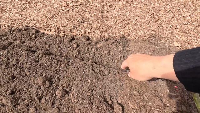 We’re Planting a BIG Rose Garden!!! ??? // Garden Answer смотреть онлайн