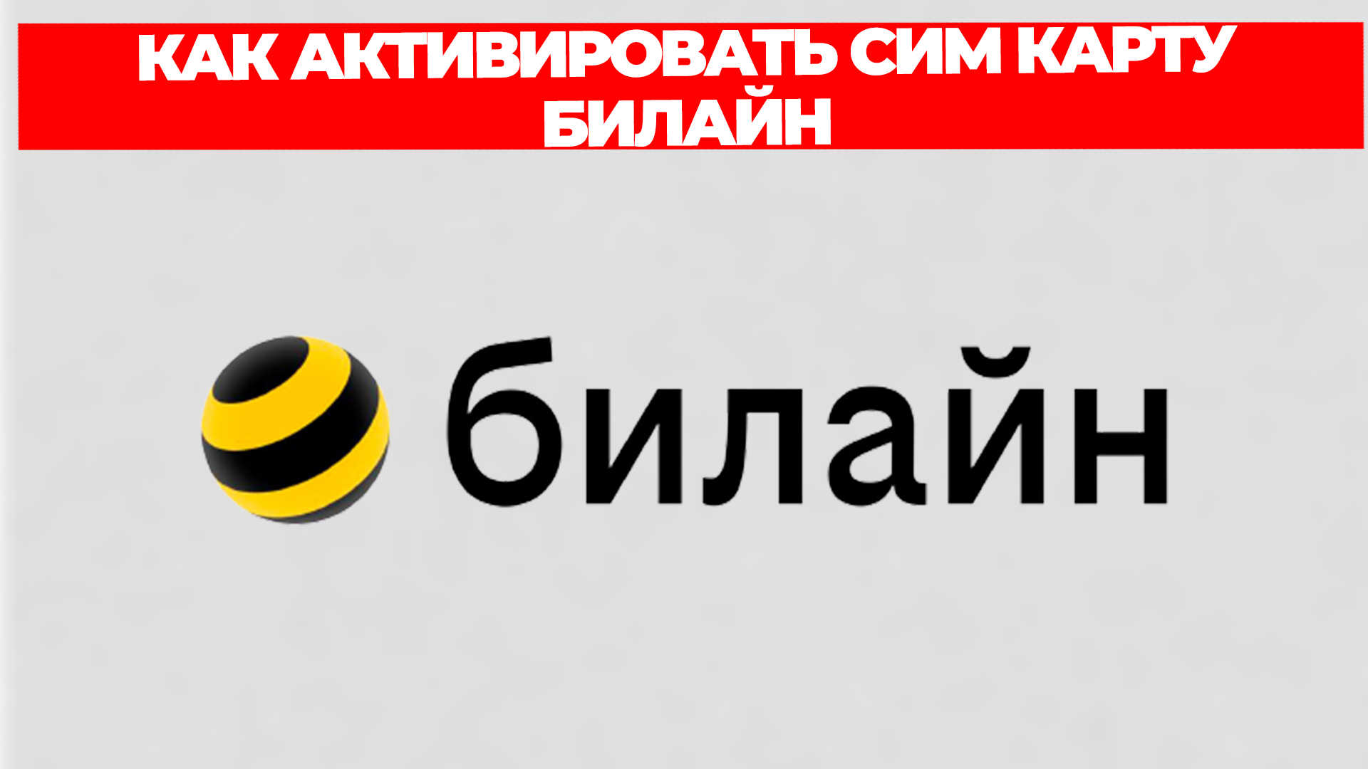 Всезнающий Енот