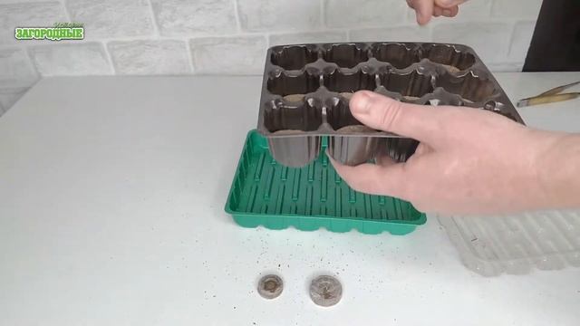 Семена ПАРТНЕР или САДЫ РОССИИ, Посев семян томатов и перцев на рассаду смотреть онлайн