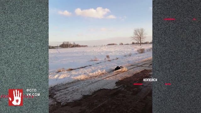 Челябинец заснял на камеру лису, которая прогуливалась по окрестностям Ленинского района смотреть онлайн