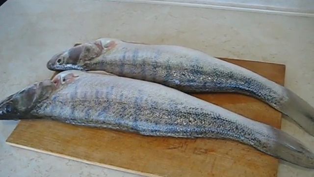 Результат рыбалки - два судачка смотреть онлайн