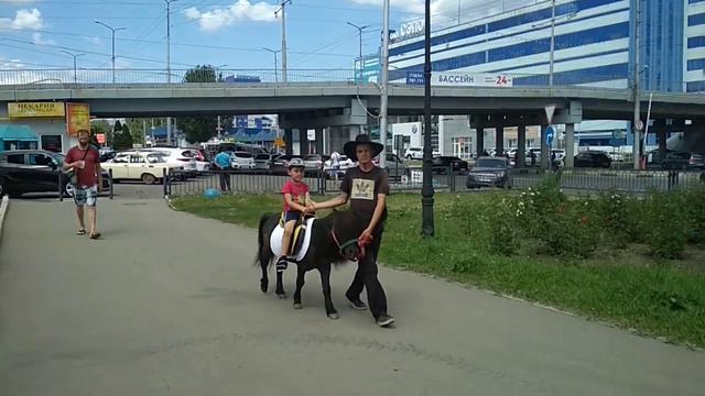 1 июня 2019, катание на пони смотреть онлайн