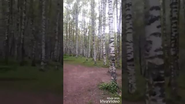 Ак кайын смотреть онлайн