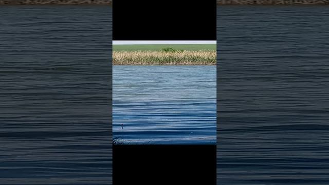 рыбалка, отдых, классное местечко смотреть онлайн