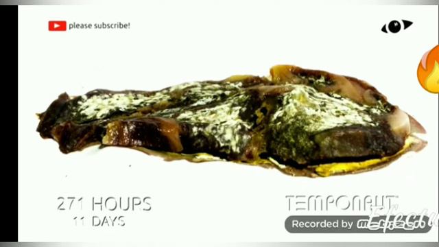 Мега таймлапс +100 подписчиков за день смотреть онлайн