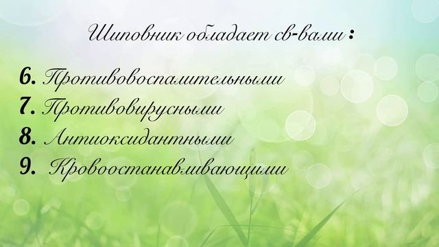 Все о траве Роза собачья от Здравницы Полынь смотреть онлайн