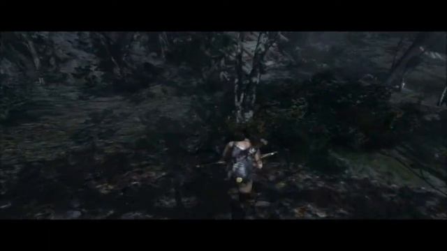 VideoExpress | Tomb Raider | Contacto con la Fauna Salvaje смотреть онлайн