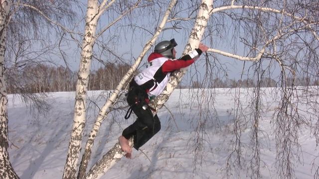 Тима и Берёза смотреть онлайн