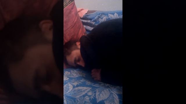 #Зелень#синька смотреть онлайн