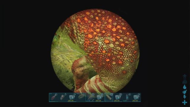 ARK Fjordur | BEST Carcharodontosaurus Spawn LOCATIONS