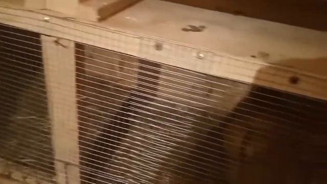 Открытая рана, что делать? смотреть онлайн