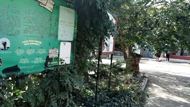 Зоопарк Одессы ,обзор животных - журавли и обезьянки! Аттракционы! Zoo! смотреть онлайн