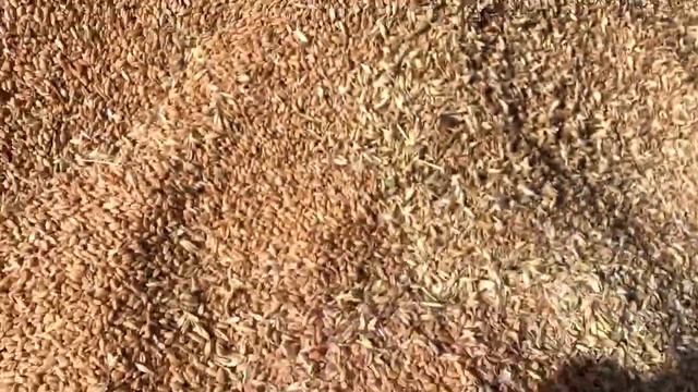 Республика Татарстан, поселок Муслюмово смотреть онлайн