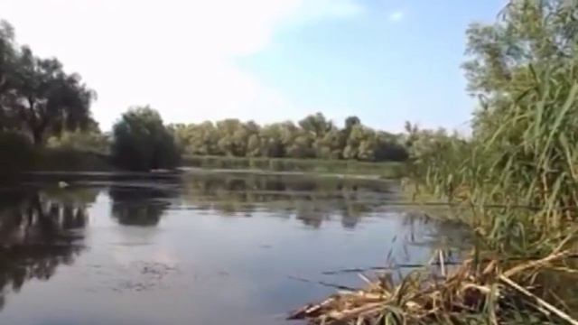 Проект казаки (видео) смотреть онлайн