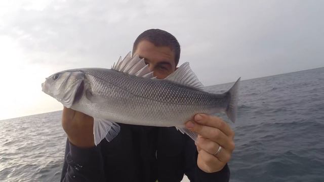 Bass Fishing With Lures - Sea Fishing For Bass.