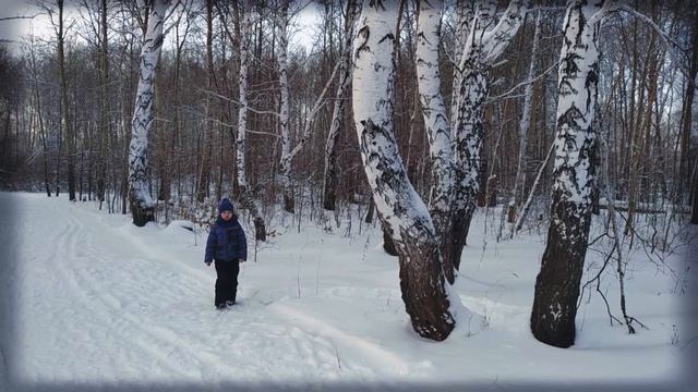 Страна читающая — Ярослав Акимкин читает произведение «Чародейкою Зимою…» Ф. И. Тютчева смотреть онлайн