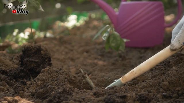 1 ложка и земля плодороднее чернозема! Смесь из 2х удобрений для весны! смотреть онлайн