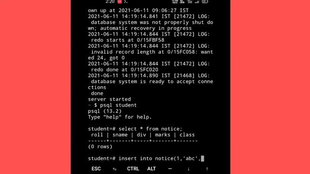 Login to PostgreSQL database | Insertion of values into table смотреть онлайн