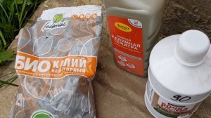 Всего ОДНА подкормка и ВЫ НЕ УЗНАЕТЕ свои ПИОНЫ