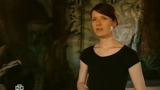 Хабаровский край Царство драконов смотреть онлайн