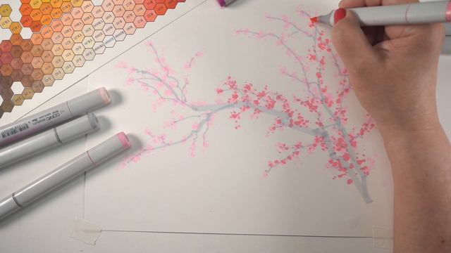 How to Draw a Copic Cherry Blossom Branch (part 1) смотреть онлайн