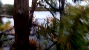 Охота и рыбалка в свердловской области , озеро какшаровское