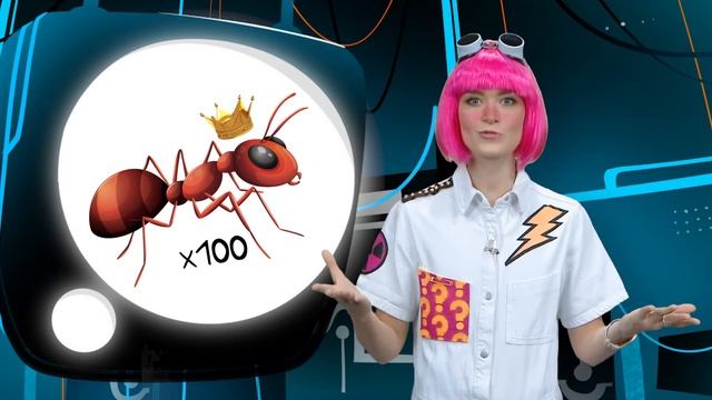 Рубрика "Большой вопрос". Почему муравьи не спят? смотреть онлайн