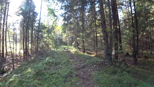 Мои переживания| Покупки для щенков и Леона смотреть онлайн