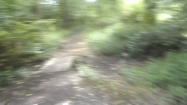 Slender man Proxy Sighting смотреть онлайн