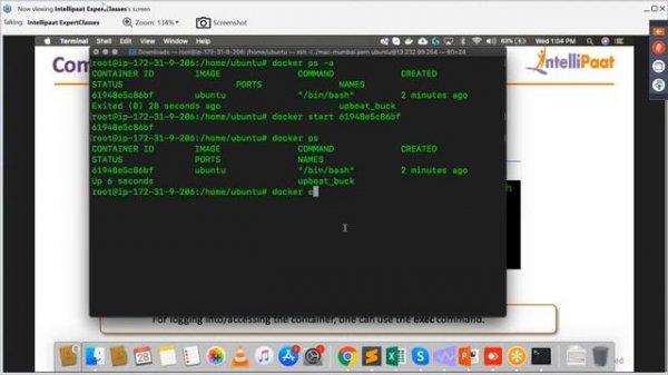Docker Commands With Examples | Docker Tutorial | DevOps Tutorial | Docker Training | Intellipaat