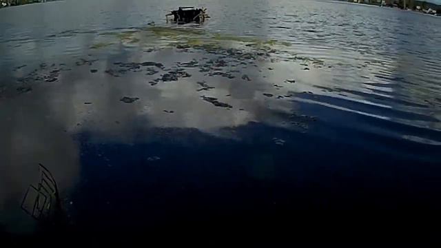 Наша дача # 9 Засыпали дорогу, очистили берег, нашёл череп смотреть онлайн