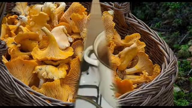 Лайфхаки при обработки грибов Для тех кто не знал!!! смотреть онлайн