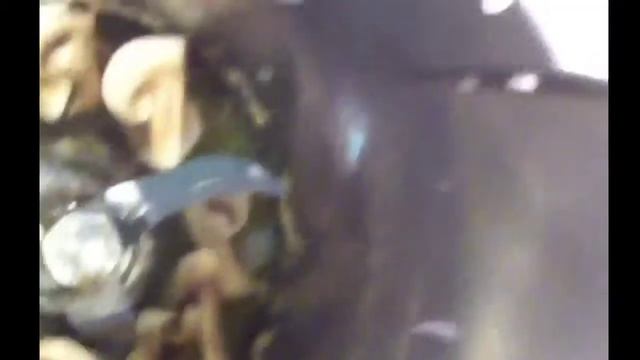 Паста с шампиньонами- Thermomix рецепт смотреть онлайн