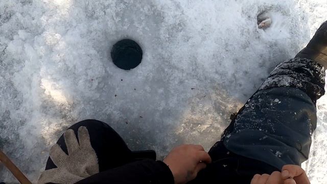Рыбалка на РЕКЕ/пробурил 16 лунок ,а сработала ОДНА!!!/Клев в Феврале. смотреть онлайн
