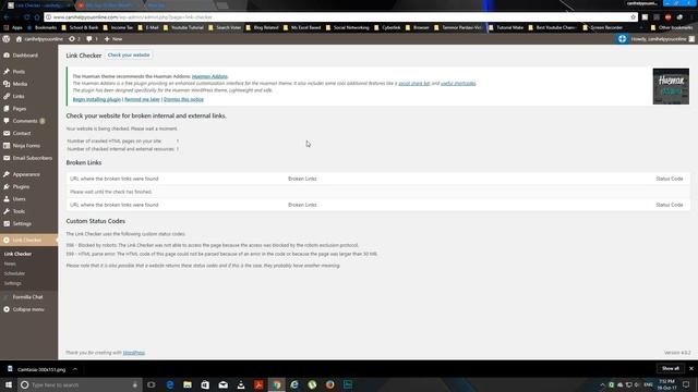 Wordpress-Free Broken Link Checker Plugin-2 Hueman Theme смотреть онлайн