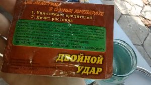 ВЕСЕННЯЯ ОБРАБОТКА САДА КАРБАМИДОМ (МОЧЕВИНОЙ)