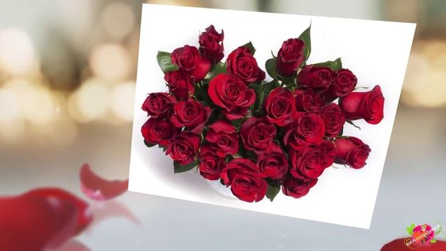 С Днём рождения, Василя! смотреть онлайн