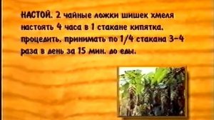 Хмель. Целебные растения и их применение (Бабурин).