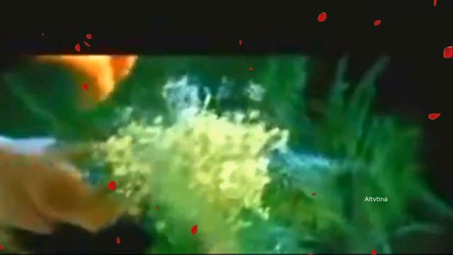 Красивых много, но я один смотреть онлайн