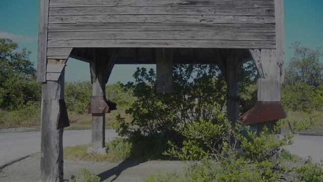 2 minutes on the Sugarloaf Key Bat Tower | epistemia смотреть онлайн